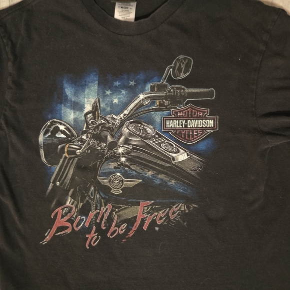 Harley Davidson Mens Black Born To Be Free T-Shirt Size L 100% Cotton - Picture 2 of 7